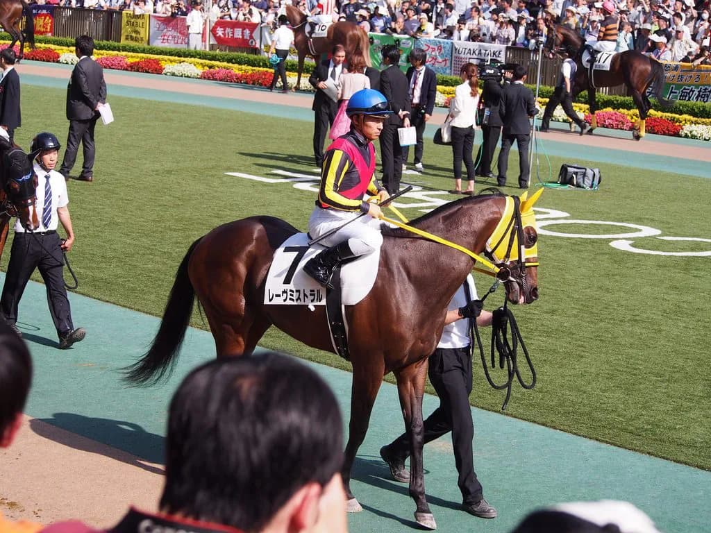 レーヴミストラル軸に点数を絞って当てたい金鯱賞