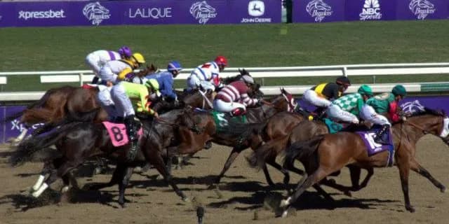 【阪神ジュベナイルフィリーズ予想2015】良血馬達をメイショウサムソン産駒デンコウアンジュが差し切るぞ!