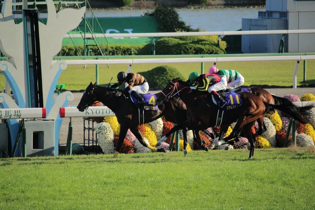 【有馬記念2015】キタサンブラック、横山騎手へ乗り替わり。プラスな点、マイナスな点は?