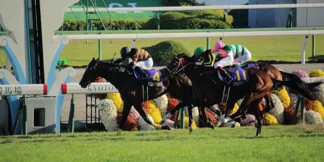 【有馬記念2015】キタサンブラック、横山騎手へ乗り替わり。プラスな点、マイナスな点は?
