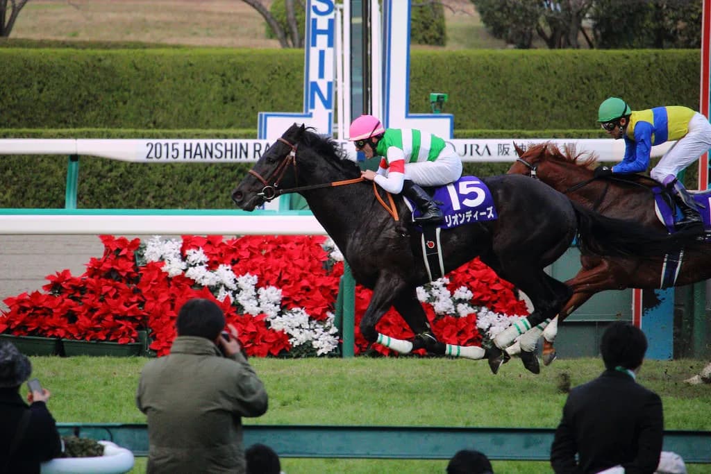 【朝日杯FS2015】リオンディーズ号優勝、2歳牡馬では初の2戦2勝G1馬!