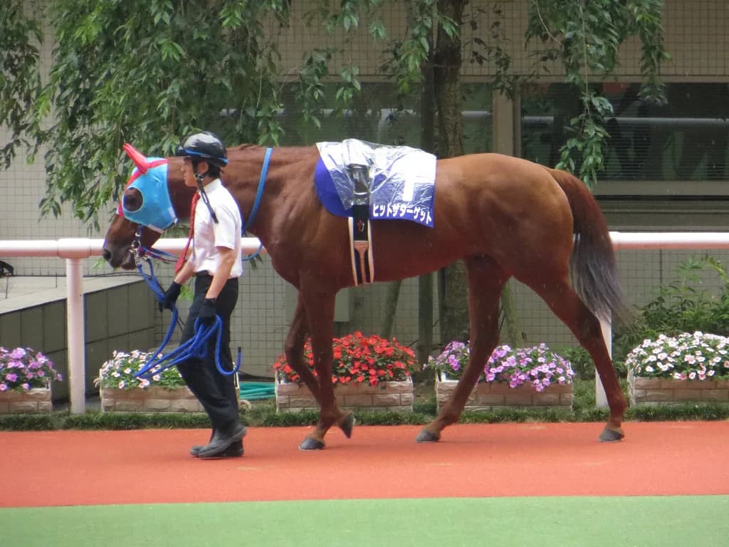 【有馬記念予想2015】"穴党"歓喜!内枠引いたヒットザターゲット