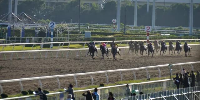 【チャンピオンズカップ2015】香港馬のガンピット、世界挑戦の第一歩