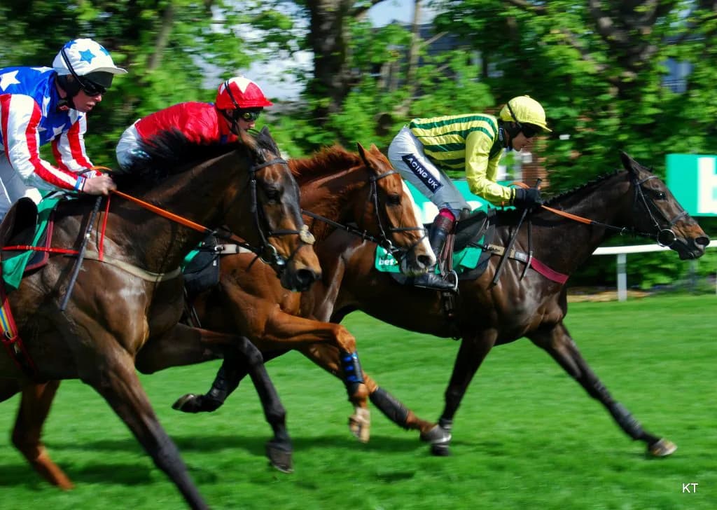 新種牡馬ノーザンリバーとその可能性