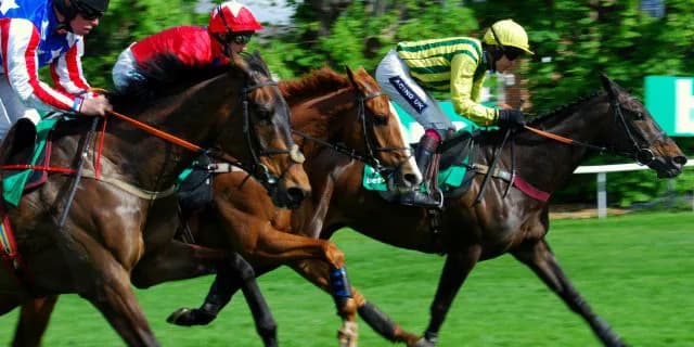 新種牡馬ノーザンリバーとその可能性