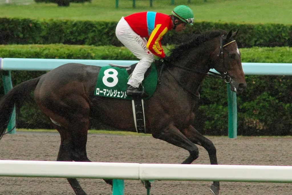 【東海S2016予想】古豪ローマンレジェンド、思い切りの良いレースに期待