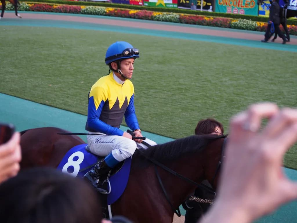 【川崎記念2016予想】手負いの騎手に不安