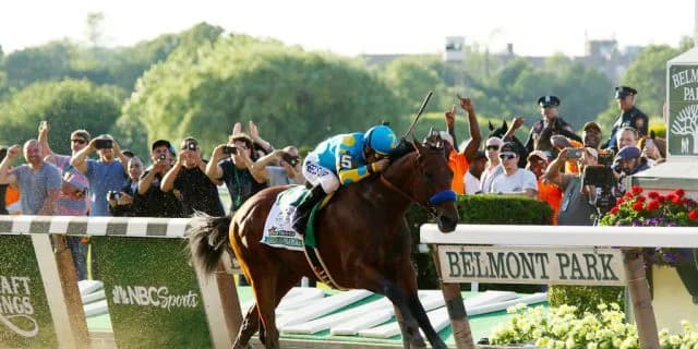 アメリカンファラオ、今春から種牡馬としてデビュー