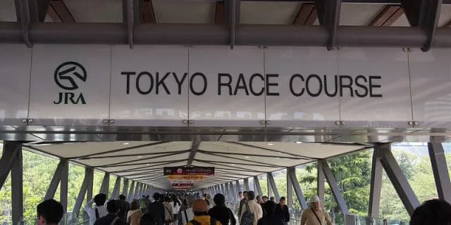 【白富士S予想2016】土曜メーン注目の3頭