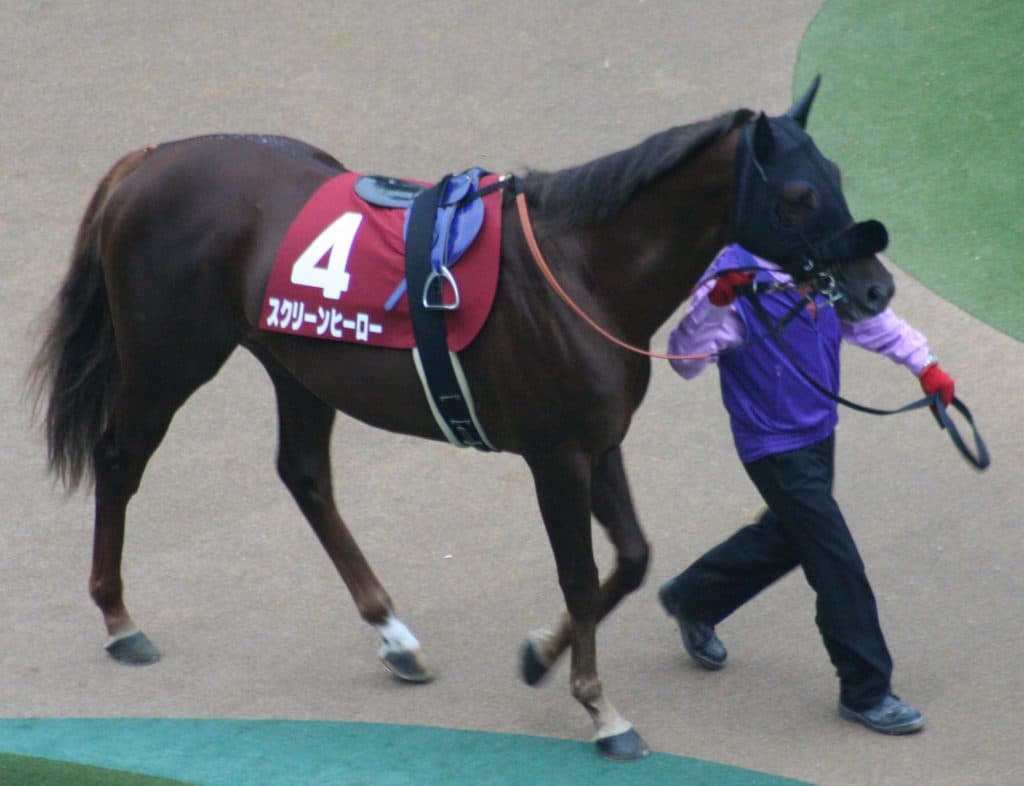 スクリーンヒーロー