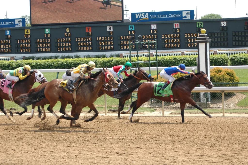 共同通信杯(G3)注目馬情報・リスペクトアース