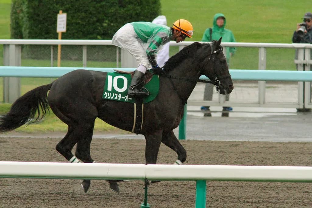 【佐賀記念2016予想】重賞3勝のクリノスターオー、ここは負けられない