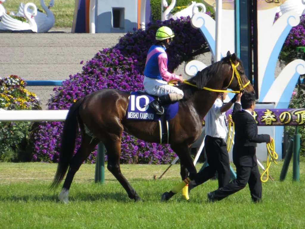 【小倉大賞典2016予想】ハンデに恵まれた小倉巧者の9歳馬メイショウカンパクで高配当を!