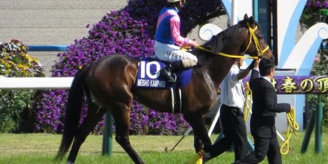 【小倉大賞典2016予想】ハンデに恵まれた小倉巧者の9歳馬メイショウカンパクで高配当を!