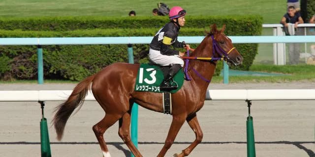 レッツゴードンキ、阪神牝馬Sを回避。香港チェアマンズスプリントプライズは辞退