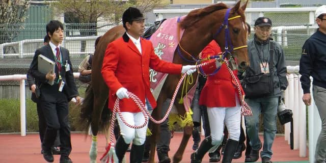 【阪急杯2016予想】短距離なら!レッツゴードンキ小細工なしで押し切るか