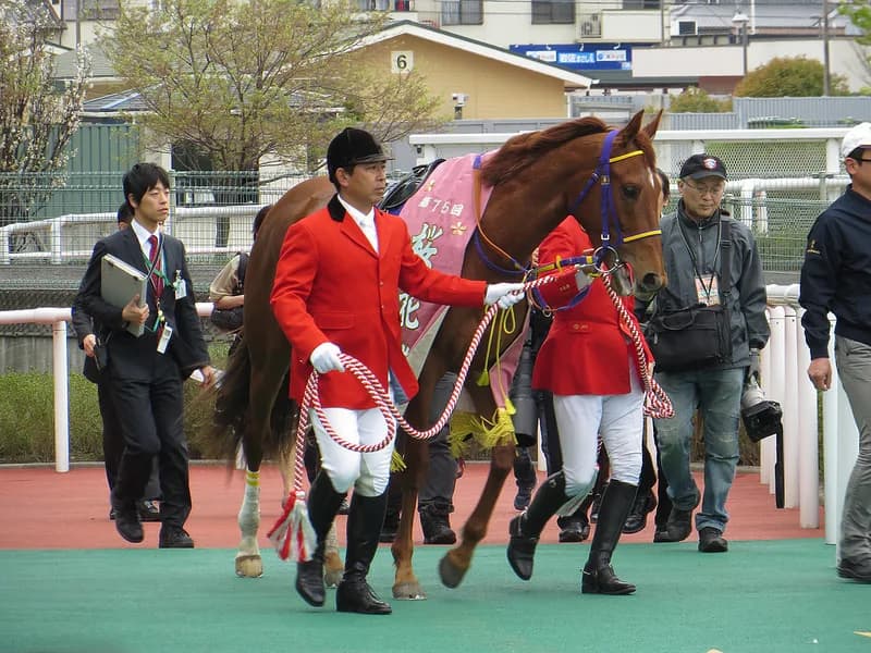 【阪急杯2016予想】短距離なら!レッツゴードンキ小細工なしで押し切るか