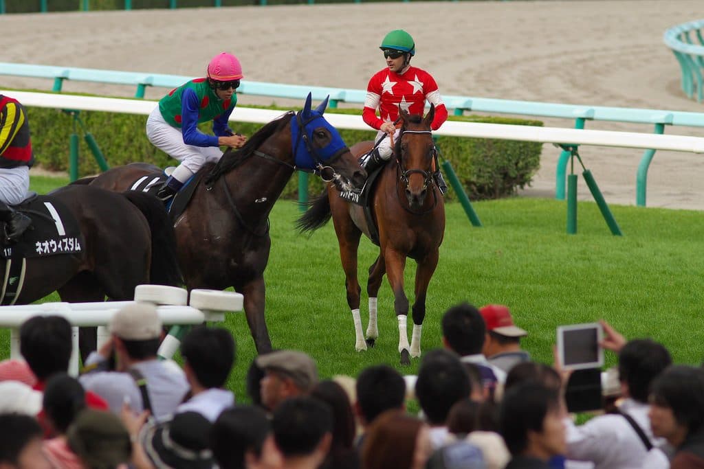 【京都牝馬S予想】レッドオーヴァルのラストラン、重賞タイトルを花嫁道具に