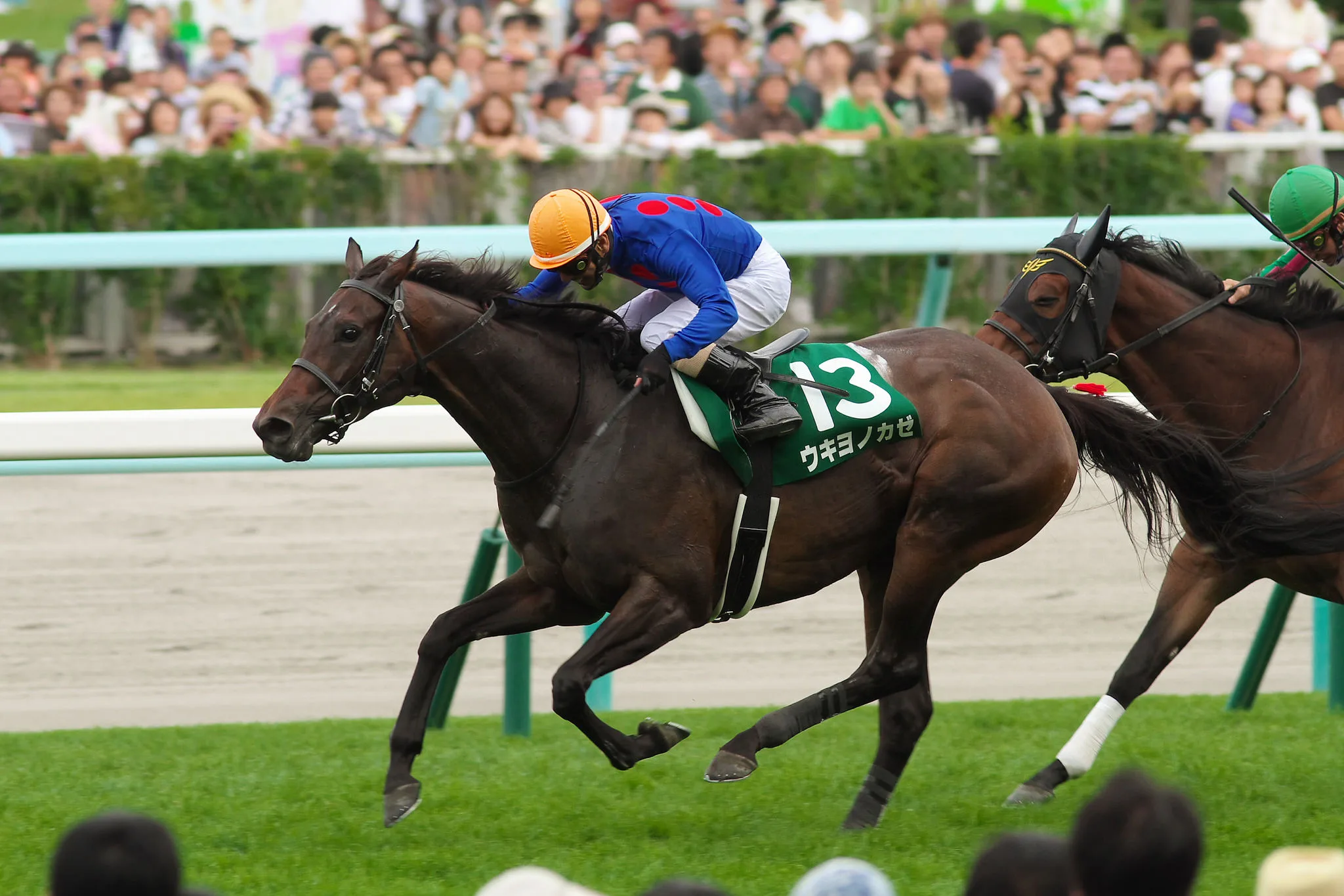 【京都牝馬S2016予想】別定戦なのにまるでハンデ戦?ウキヨノカゼが買いドキ