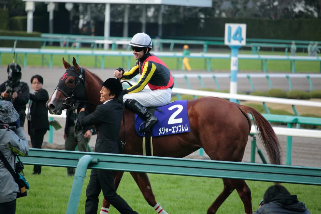 【クイーンC予想2017】もはや桜花賞トライアル?未対戦の大物集結!