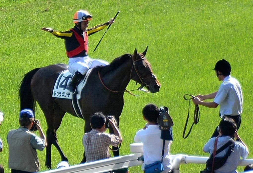 【中山記念2016】4歳馬対決に甲乙付け難し