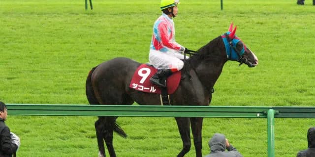 【小倉大賞典2017予想】今年こそ!ダコールの悲願達成を期待