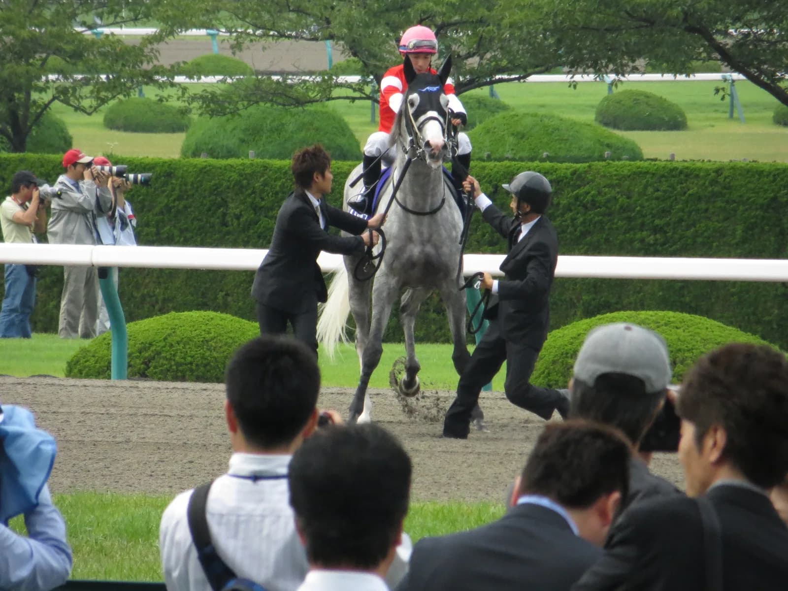 宝塚記念で見せたゴールドシップの姿から競馬ファンの位置付けを考えてみる