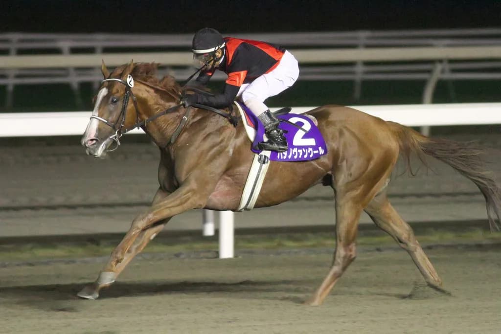 2年の沈黙を破りハタノヴァンクール種牡馬入り