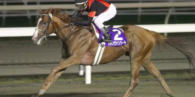 2年の沈黙を破りハタノヴァンクール種牡馬入り