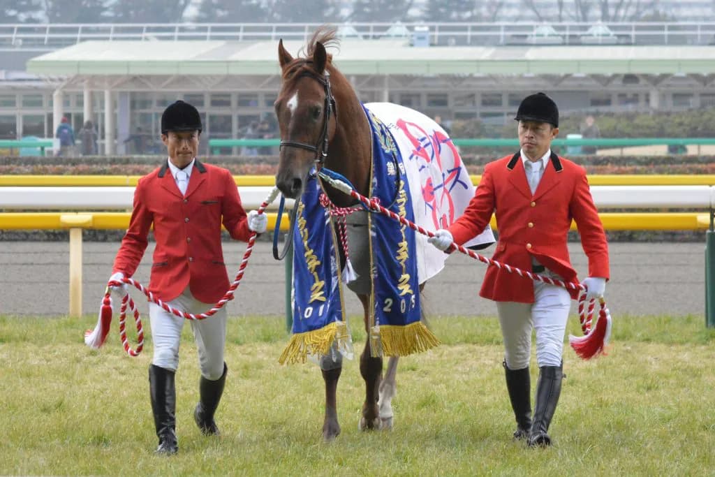 2016年フェブラリーステークス(G1)出走馬情報