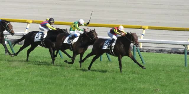 中山記念(G2)有力馬情報・ドゥラメンテ