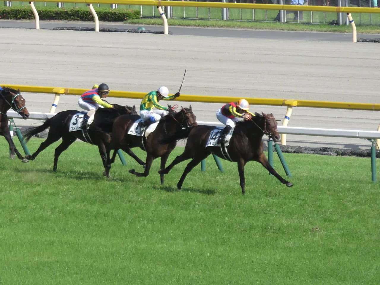 中山記念(G2)有力馬情報・ドゥラメンテ