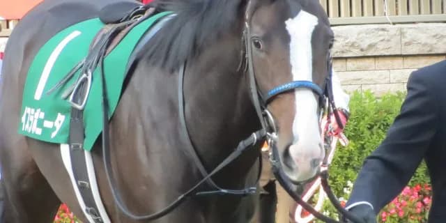 中山記念(G2)有力馬情報・イスラボニータ