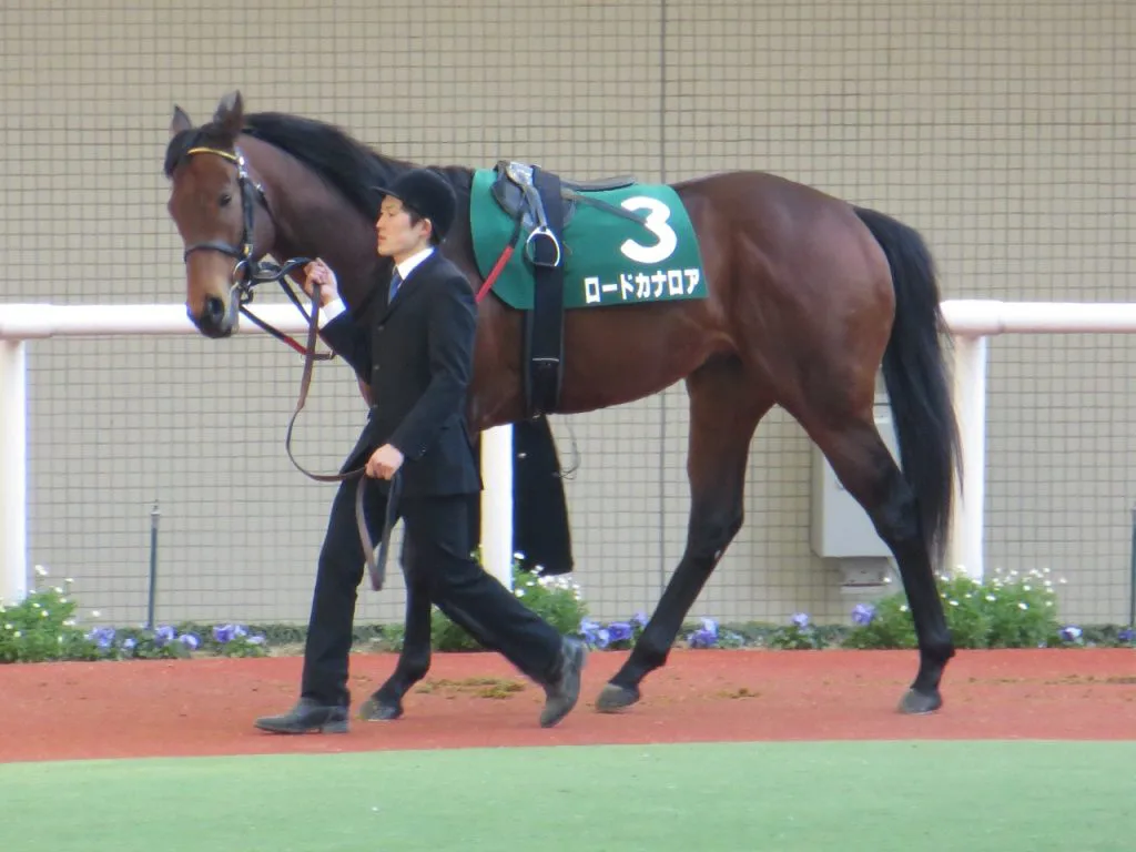史上最強のスプリンターになるか!カナロアチャン(?)がついに誕生!