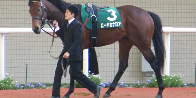 史上最強のスプリンターになるか!カナロアチャン(?)がついに誕生!