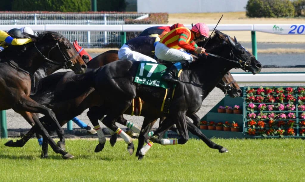 マーティンボロ、異国の地で初年度産駒が初勝利