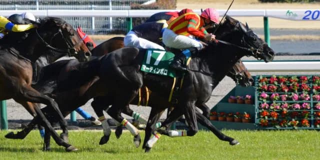 マーティンボロ、異国の地で初年度産駒が初勝利