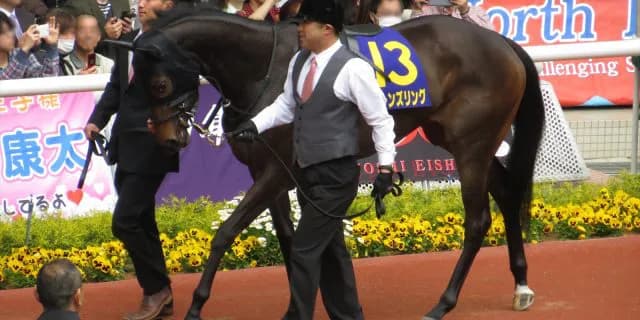 クイーンズリング、有馬記念がラストラン。引退後は繁殖へ