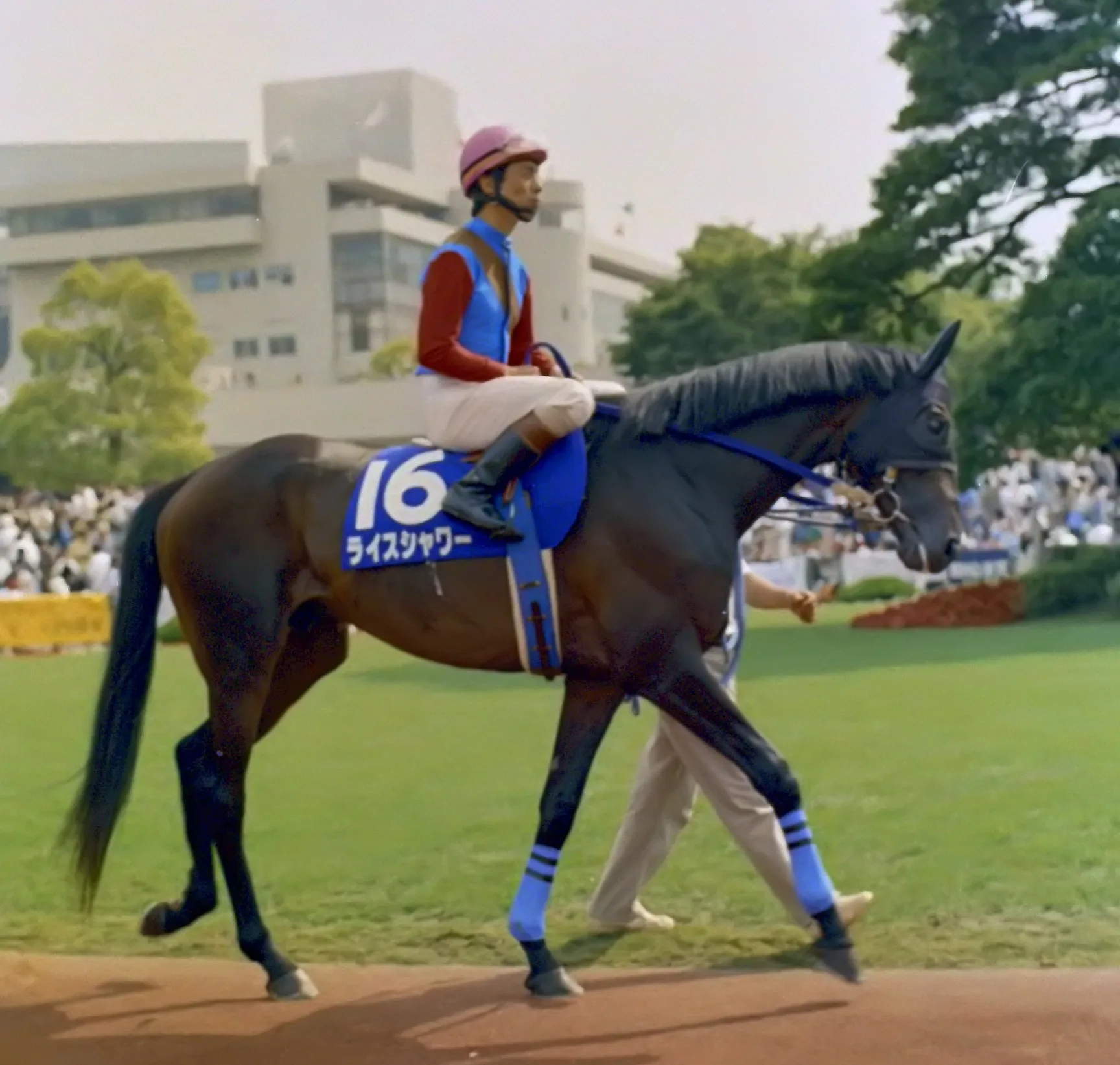 もし、ライスシャワーが種牡馬になっていたら。
