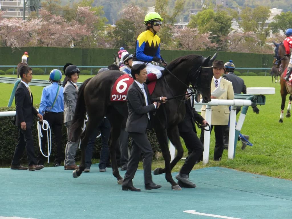 京都牝馬ステークス(G3)有力馬情報・ウリウリ
