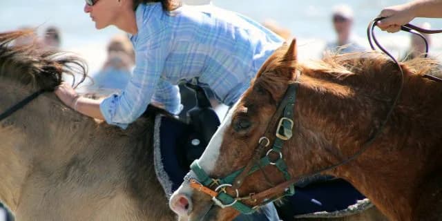 【2月13日(土)東京】9Rからクイーンカップまで複勝コロガシを実践!