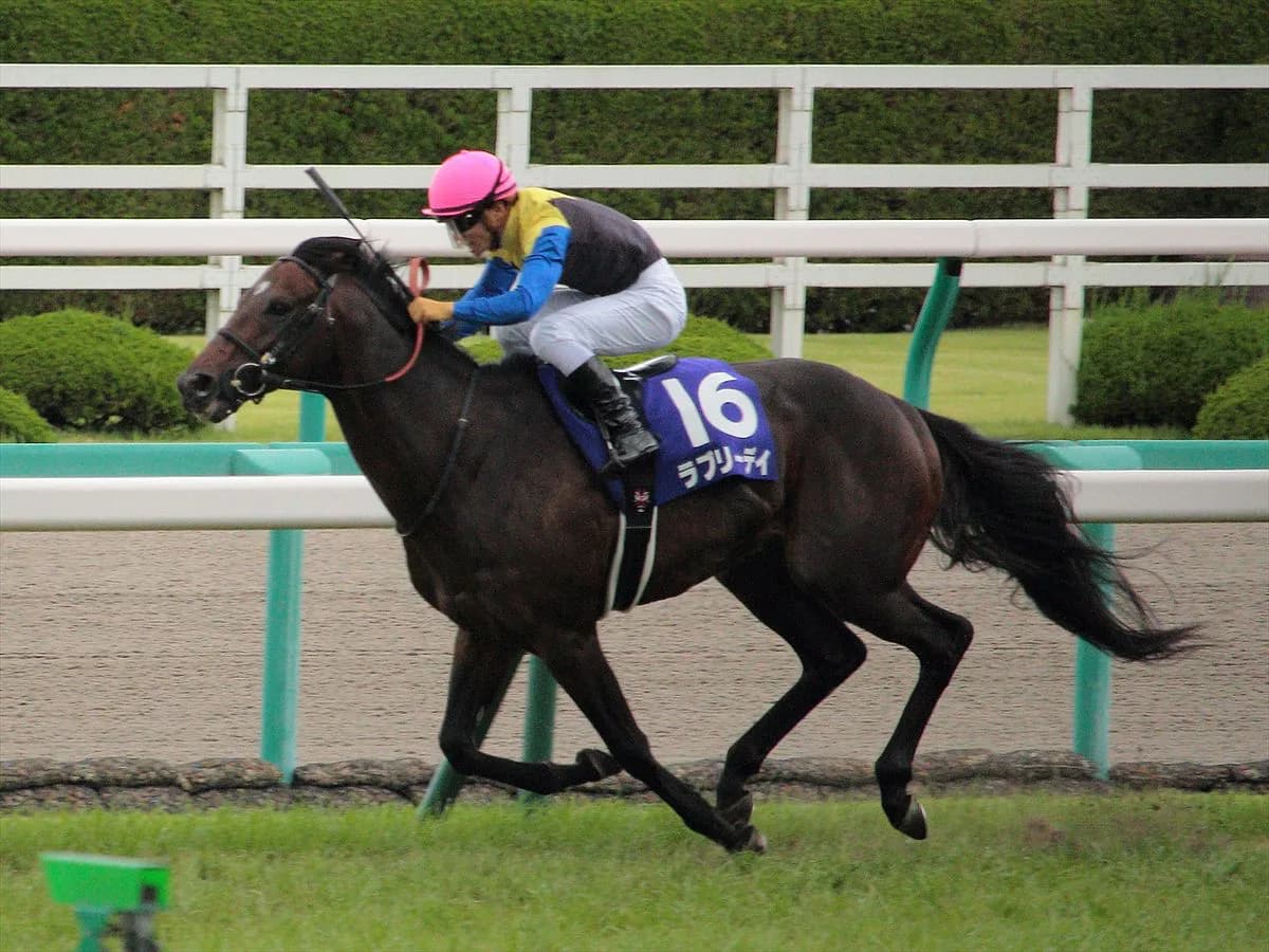 【大阪杯2016有力馬】いよいよラブリーデイ始動!使い詰めからの休養明けに期待が高まる!