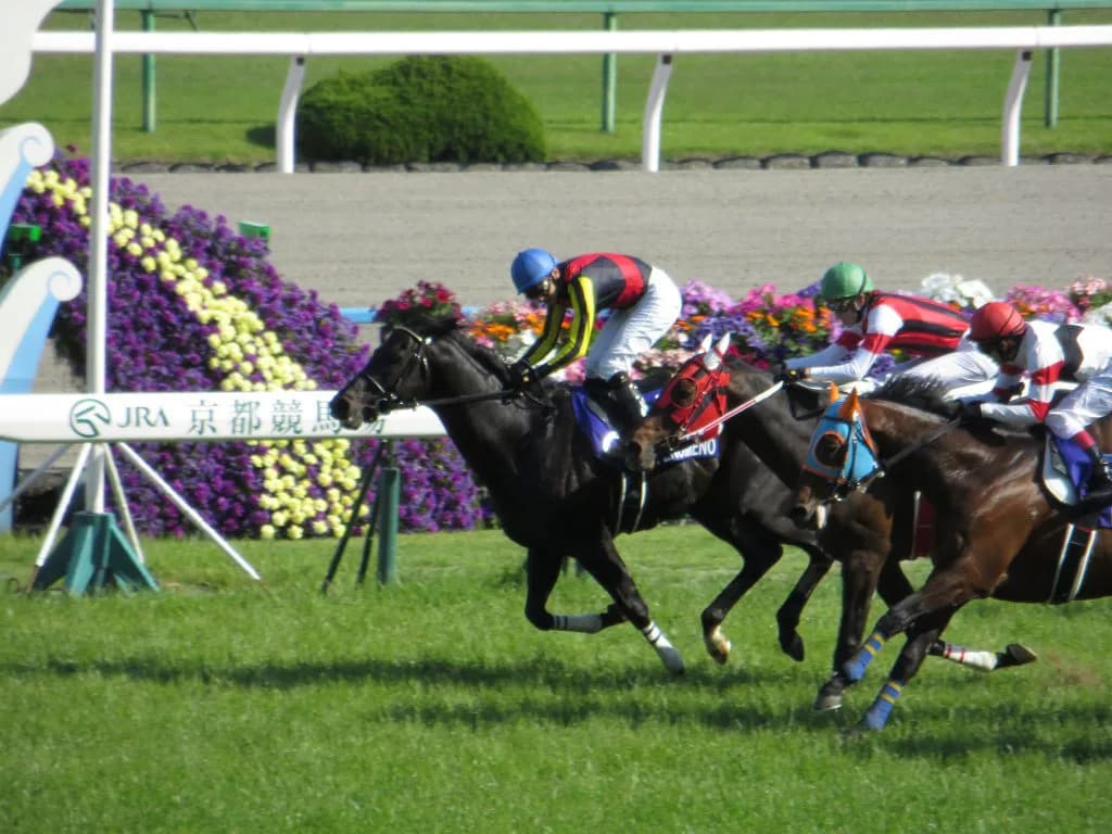 【阪神大賞典2016回顧】シュヴァルグラン天皇賞(春)に王手だ!