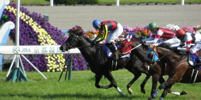 【阪神大賞典2016回顧】シュヴァルグラン天皇賞(春)に王手だ!