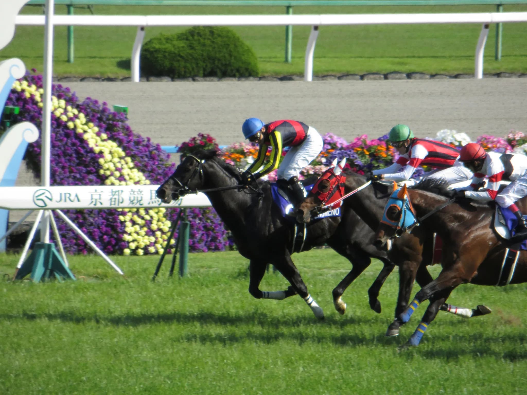 【阪神大賞典2016回顧】シュヴァルグラン天皇賞(春)に王手だ!