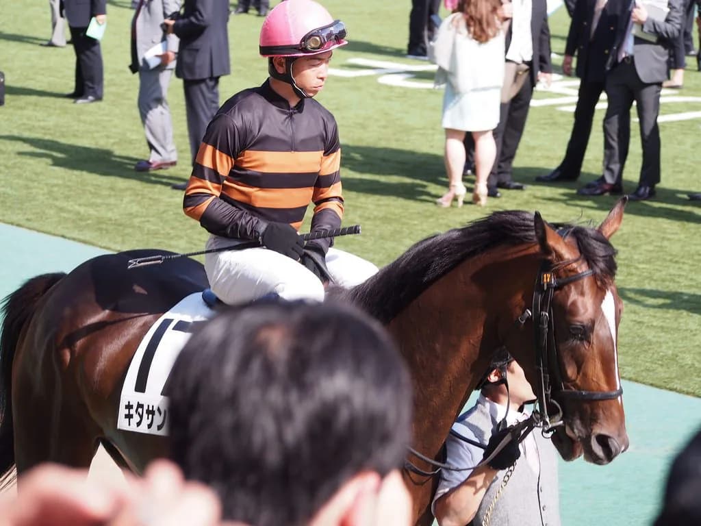 【大阪杯2016予想】なぜか1番人気に推されない、菊花賞馬キタサンブラック