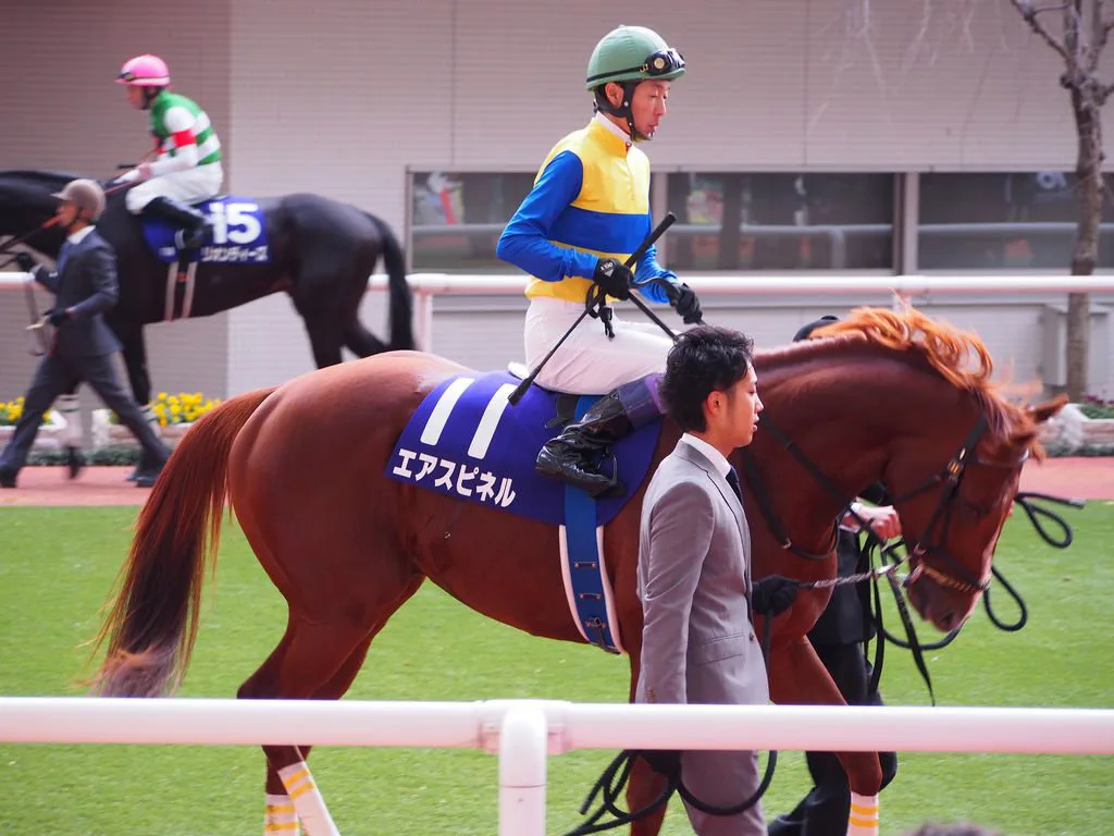【富士S予想2017】エアスピネル、武豊で再度王座狙う
