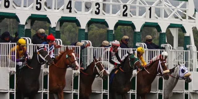 【香港ヴァーズ2017】枠順確定、キセキは馬番12番3番ゲートで出走確定