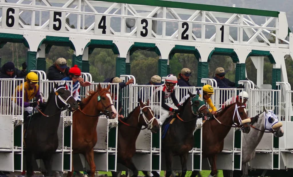 【香港ヴァーズ2017】枠順確定、キセキは馬番12番3番ゲートで出走確定