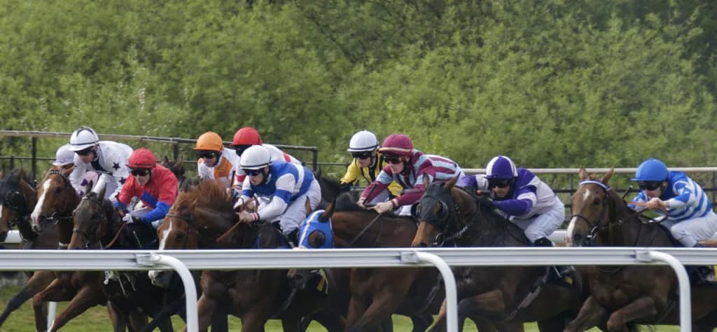 【毎日杯2016回顧】ノーステッキでの完勝・スマートオーディン